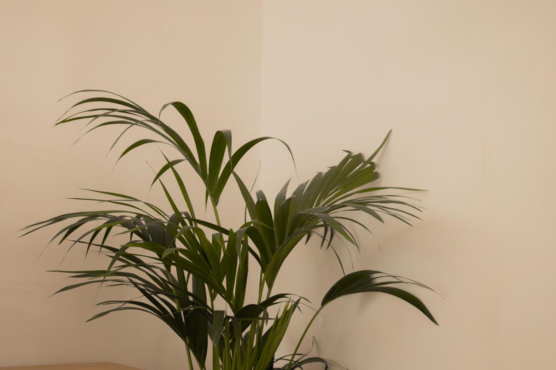 El Puertito Beach Retreat