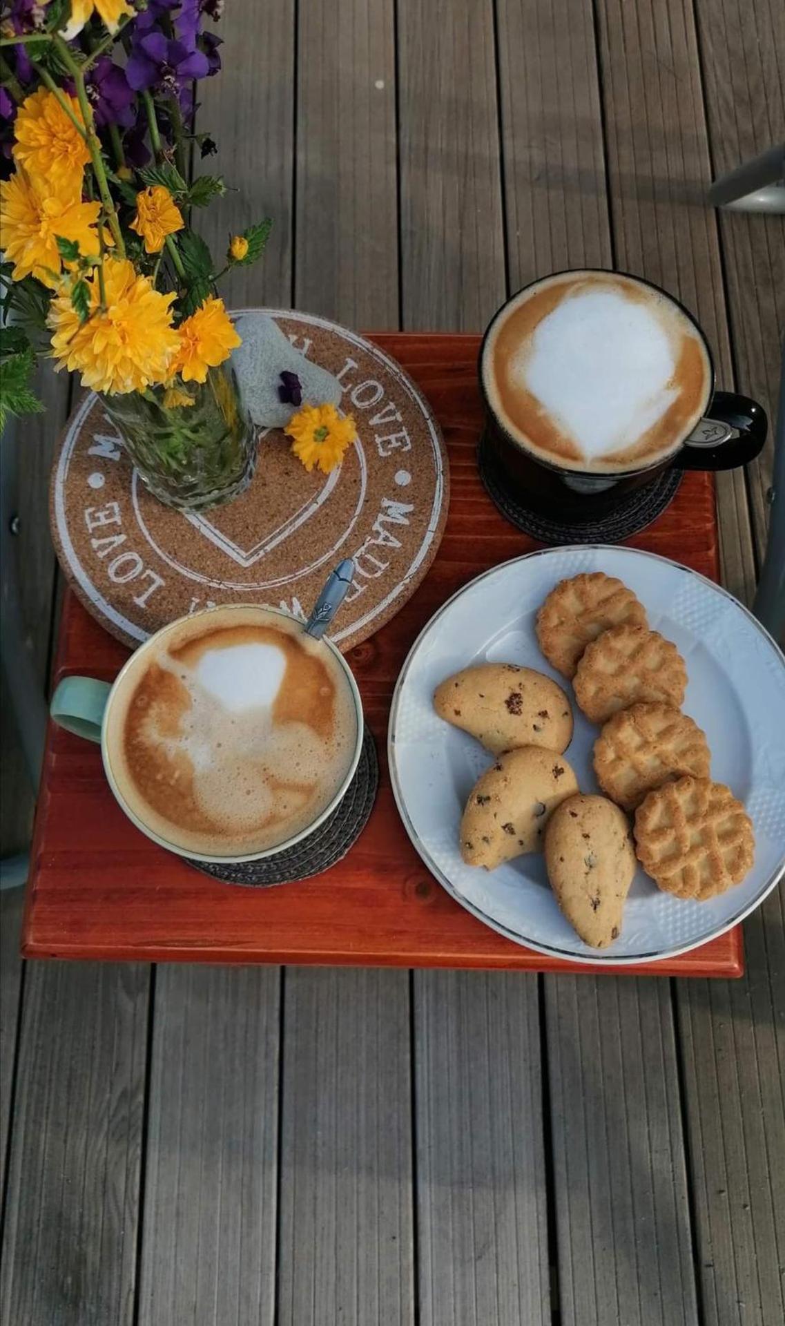 Freya House Valea Avrigului