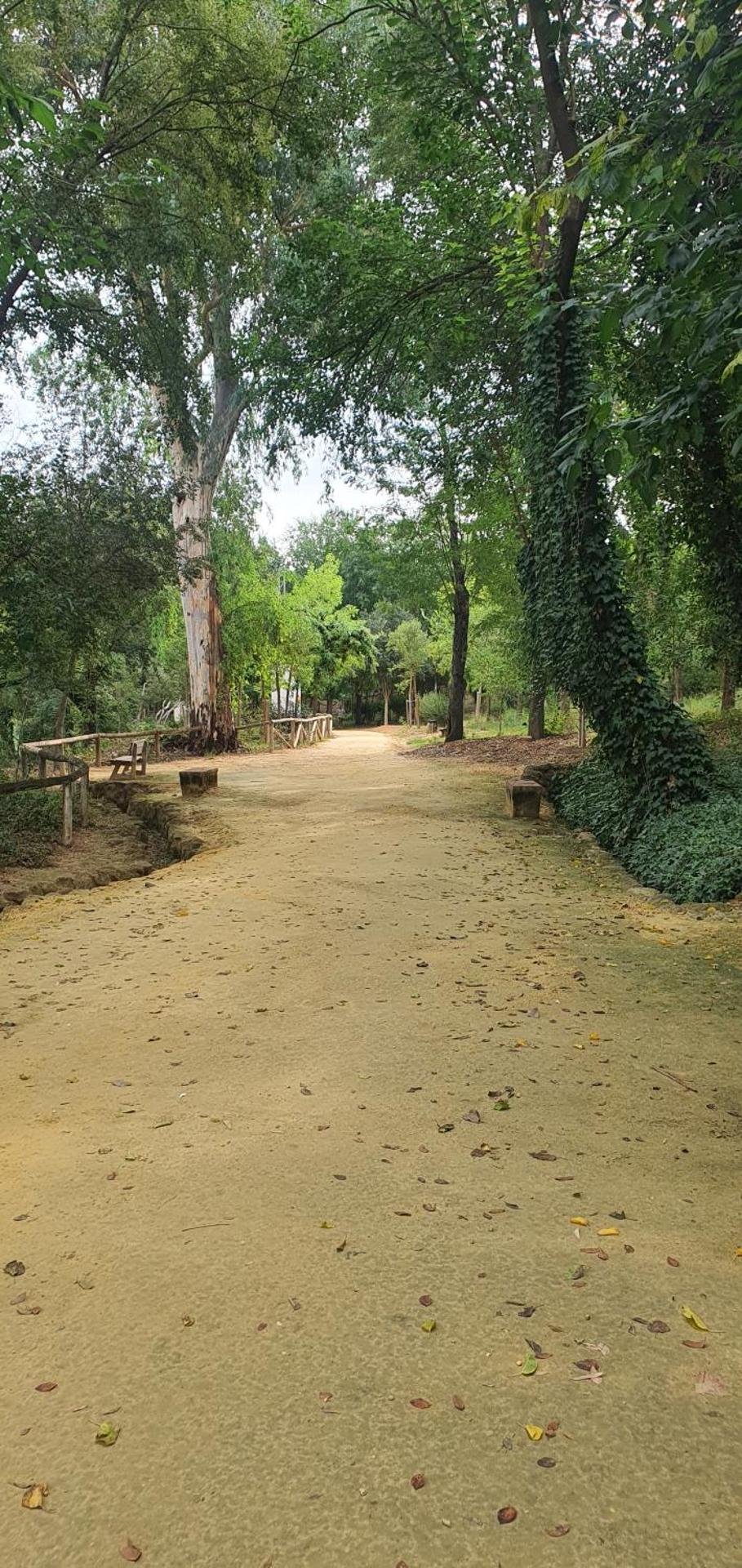 TRANQUILO APARTAMENTO ZONA CENTRO