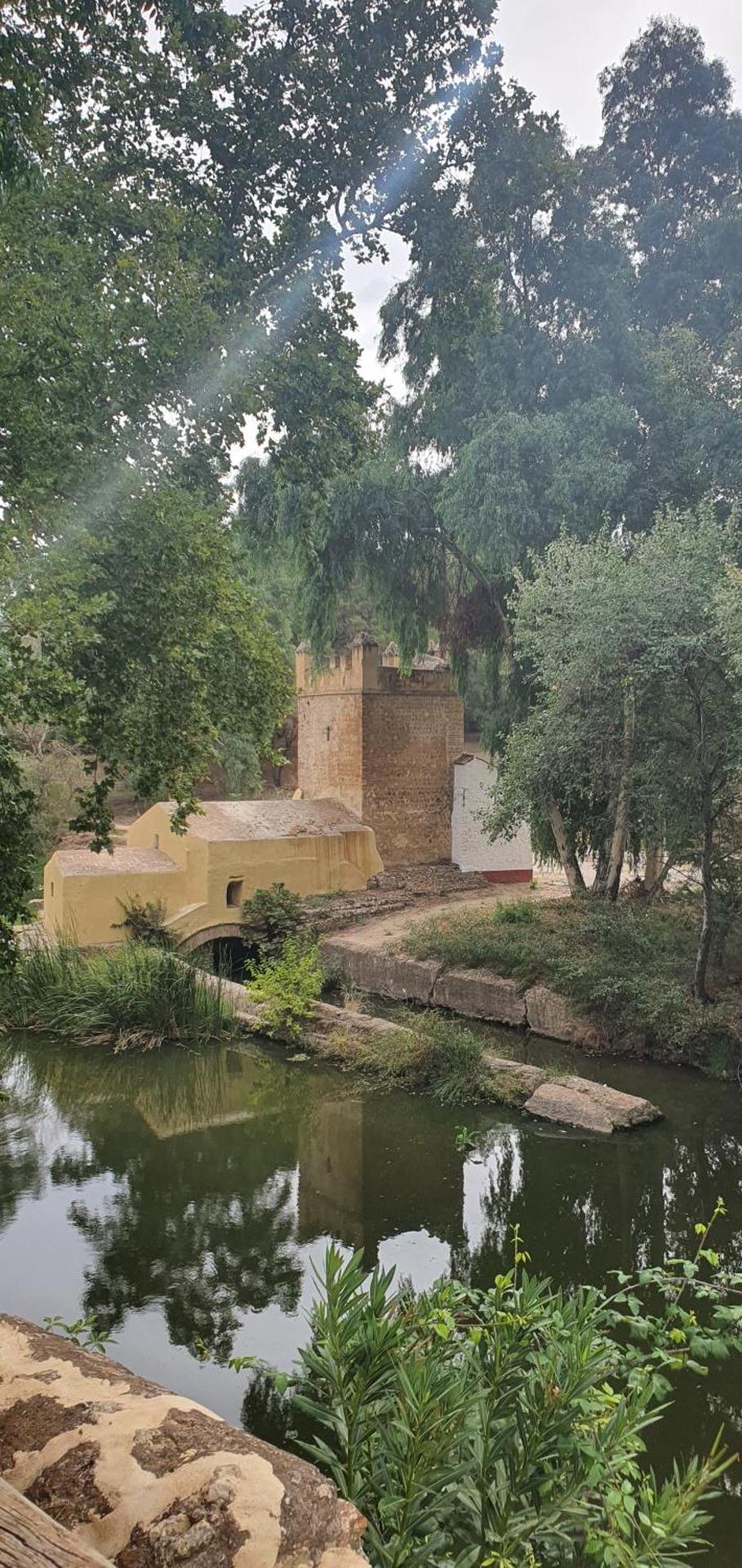 TRANQUILO APARTAMENTO ZONA CENTRO