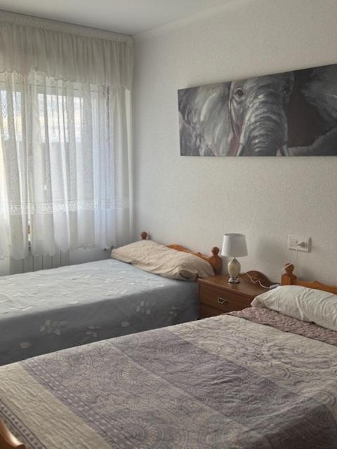 Pensión Portus Marini