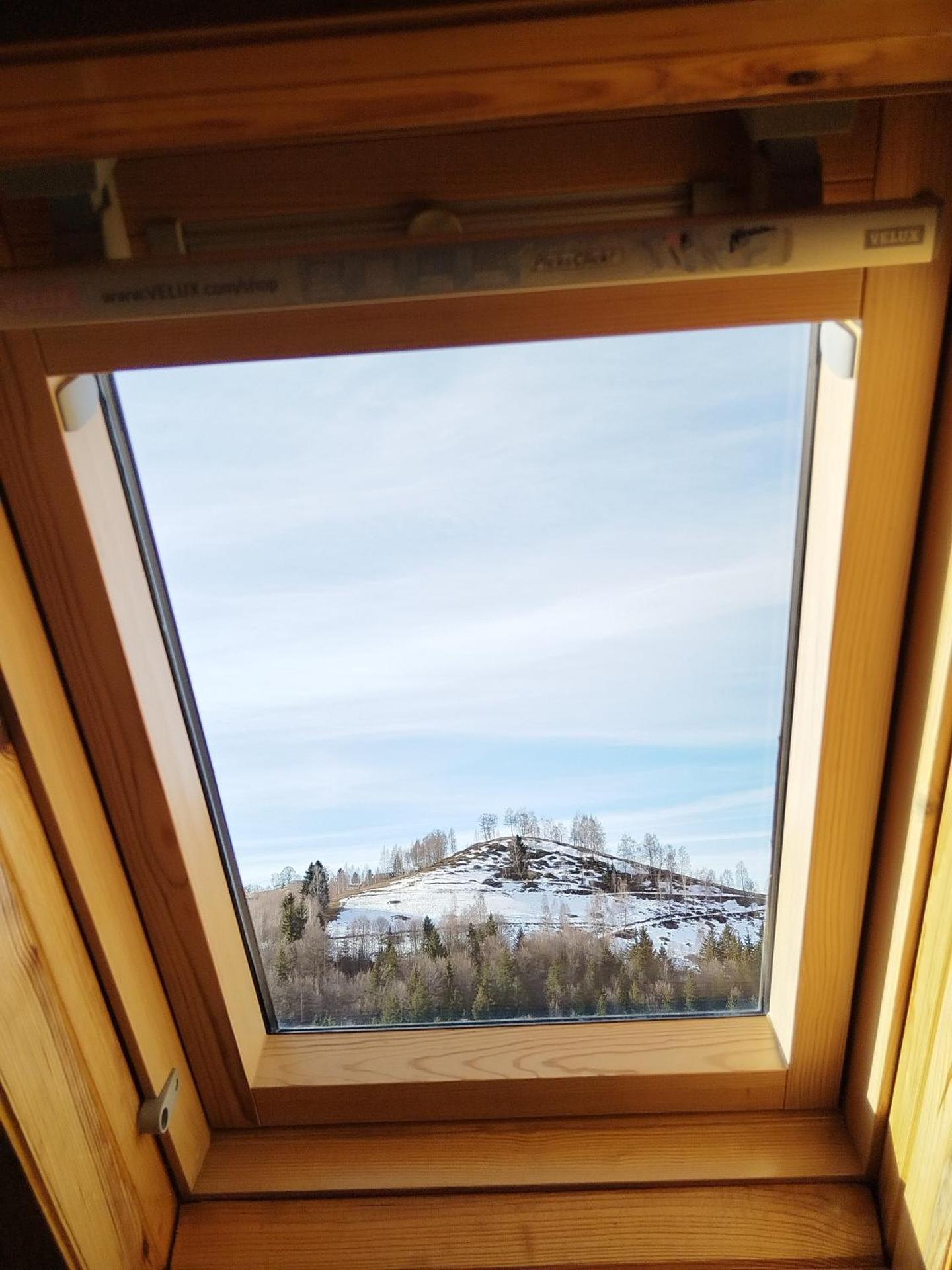 Garofita Pietrei Craiului