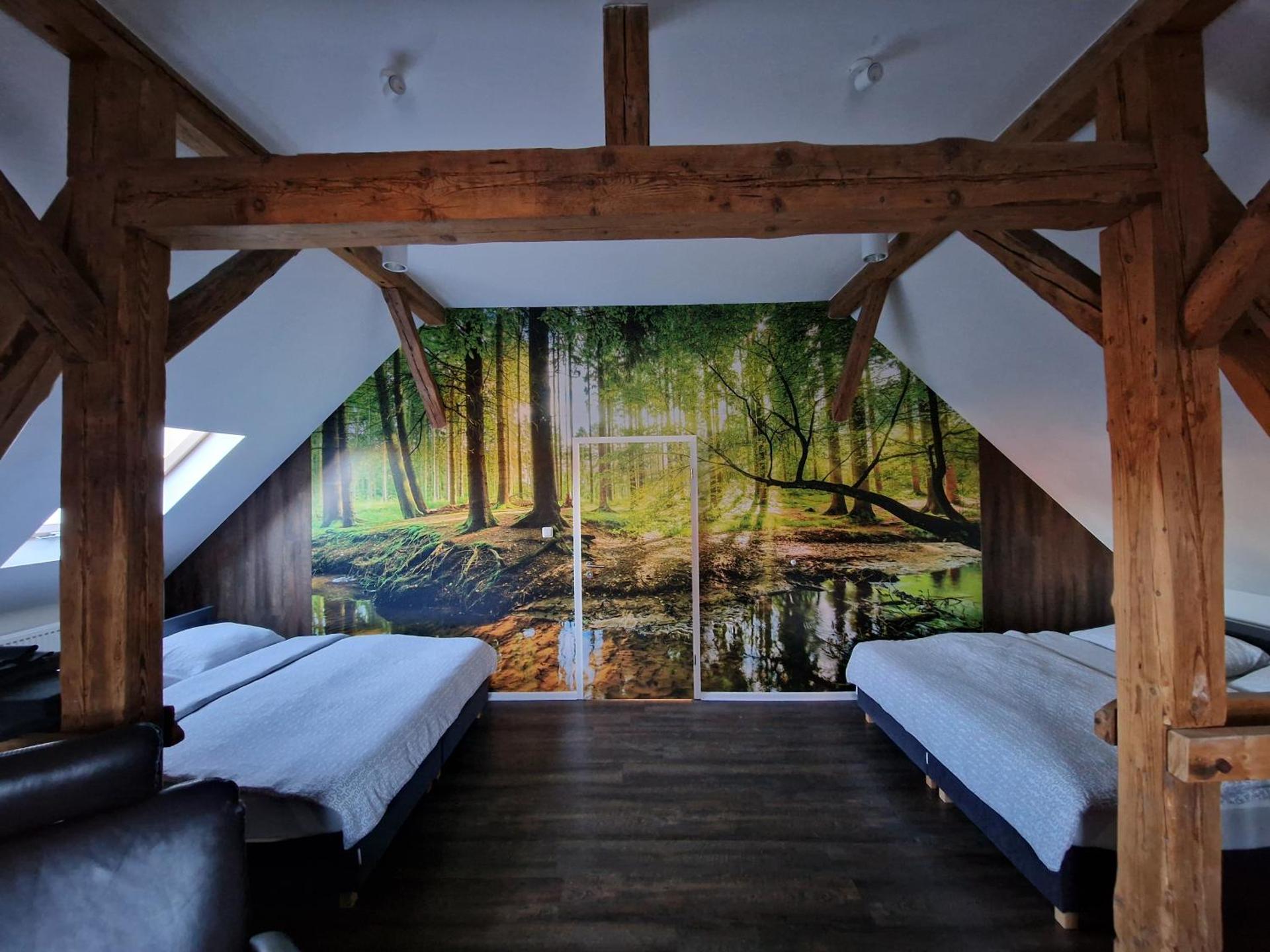 Photo of the whole room