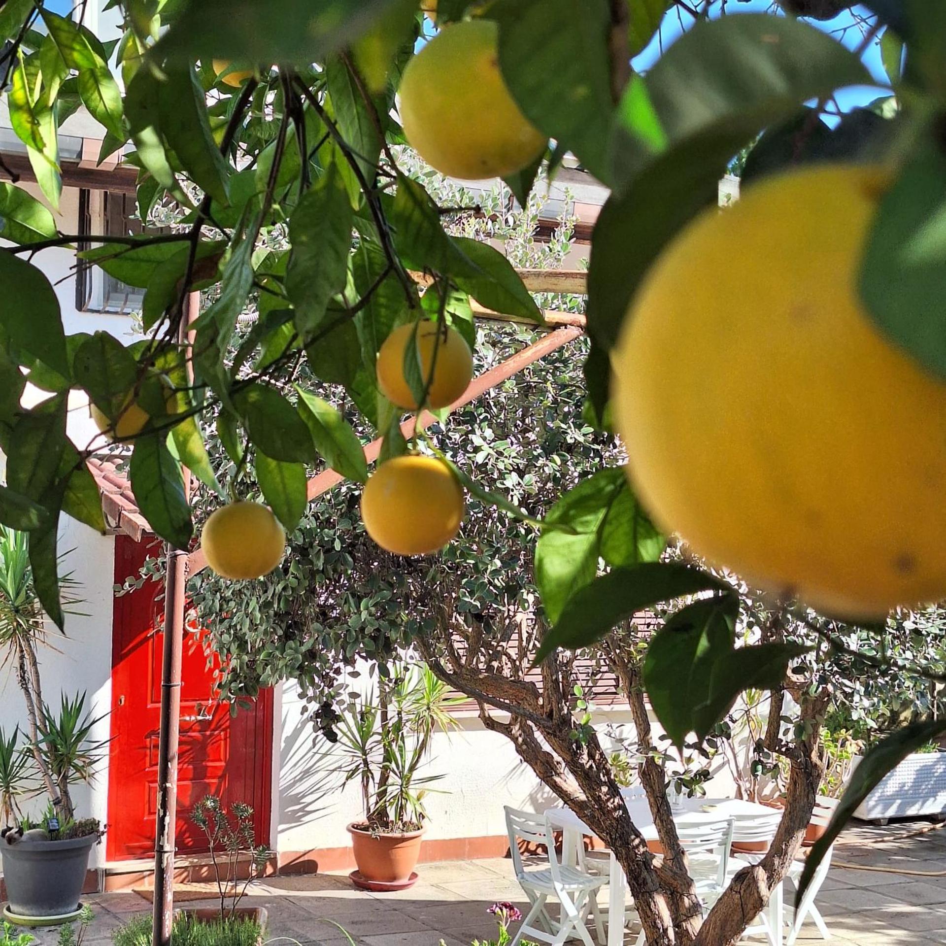 Giallo Limone B&B