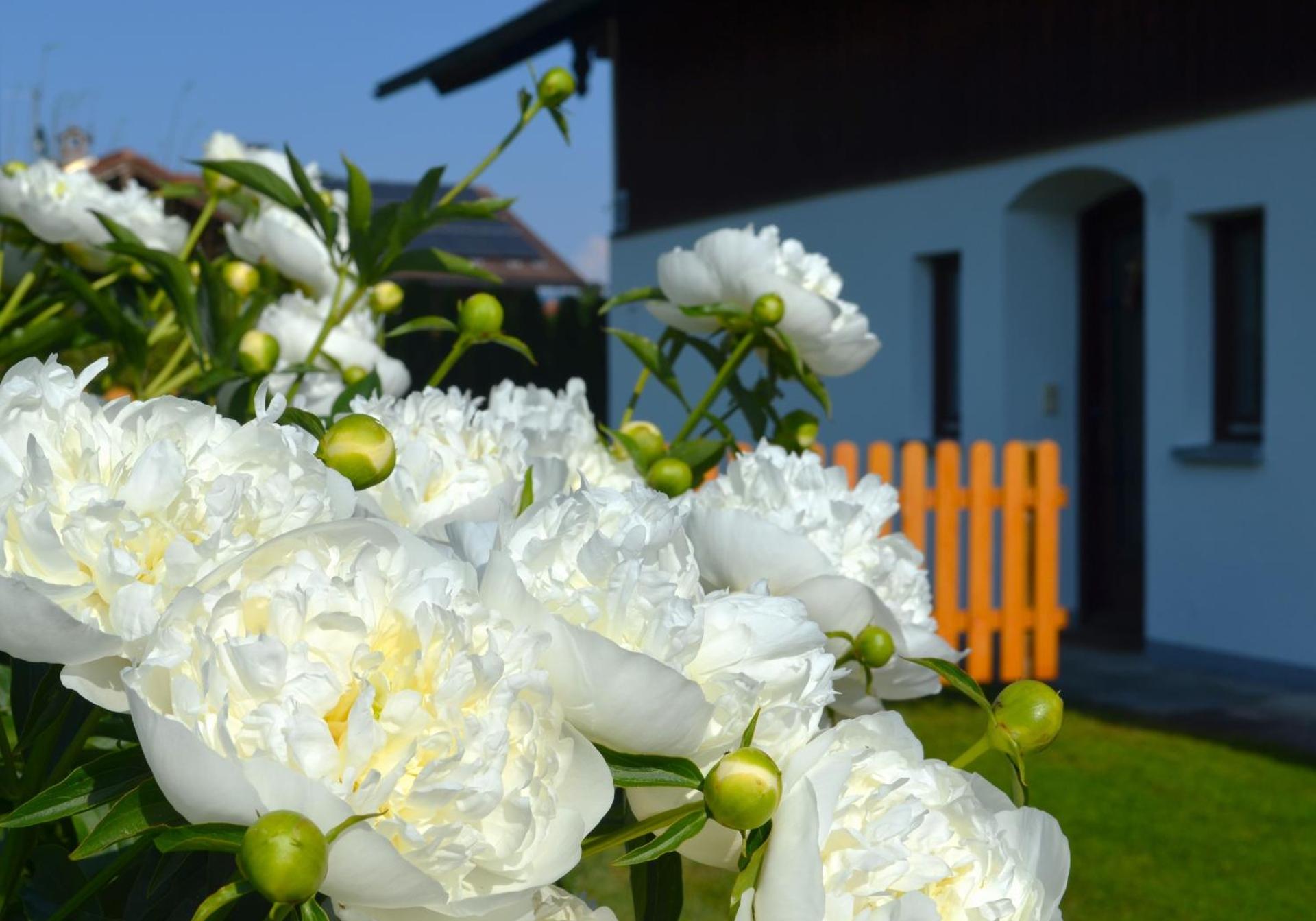 Ferienhaus Antdorfer Gartenglück