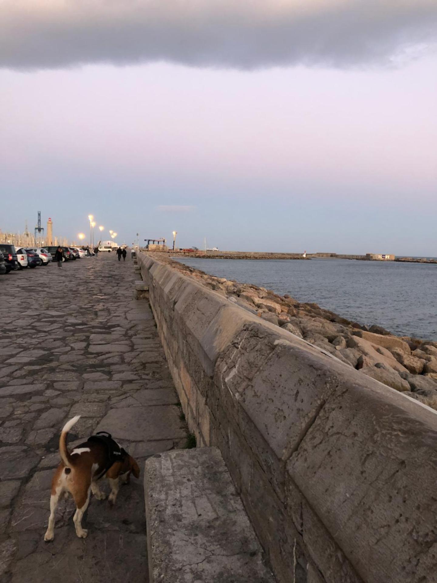 Joli petit appartement dans le quartier haut