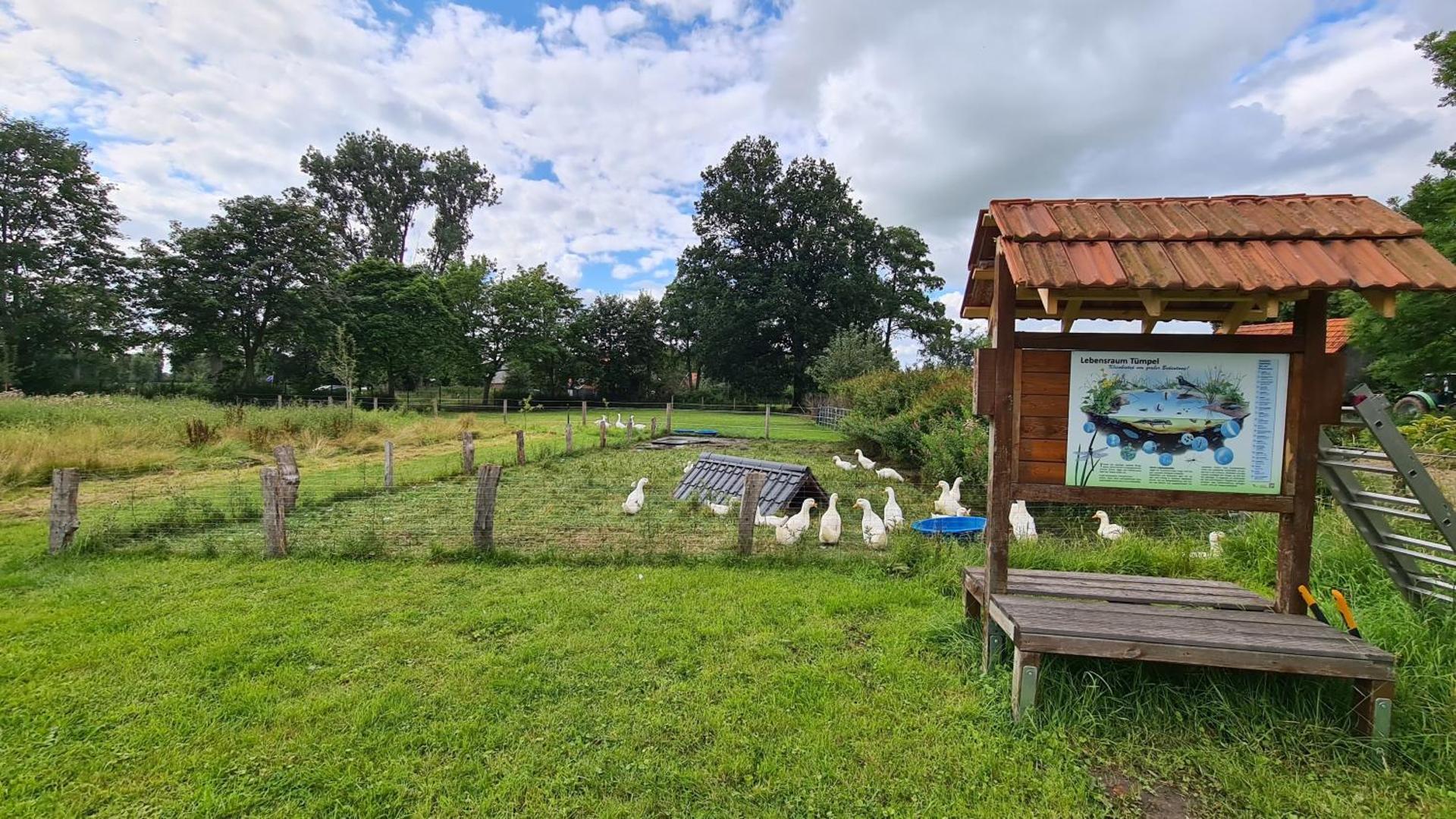 Naturhof Buschwiesen - Wohnung Lama