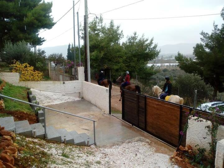 Agriliki Cottage - Amazing View & Nature Escape in Nea Makri