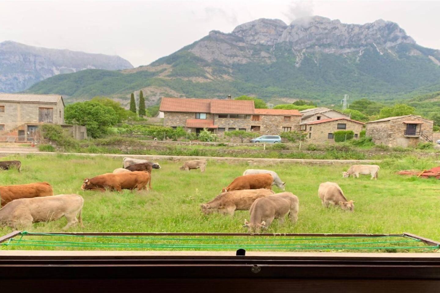 Duplex La Valle Ordesa-Ainsa