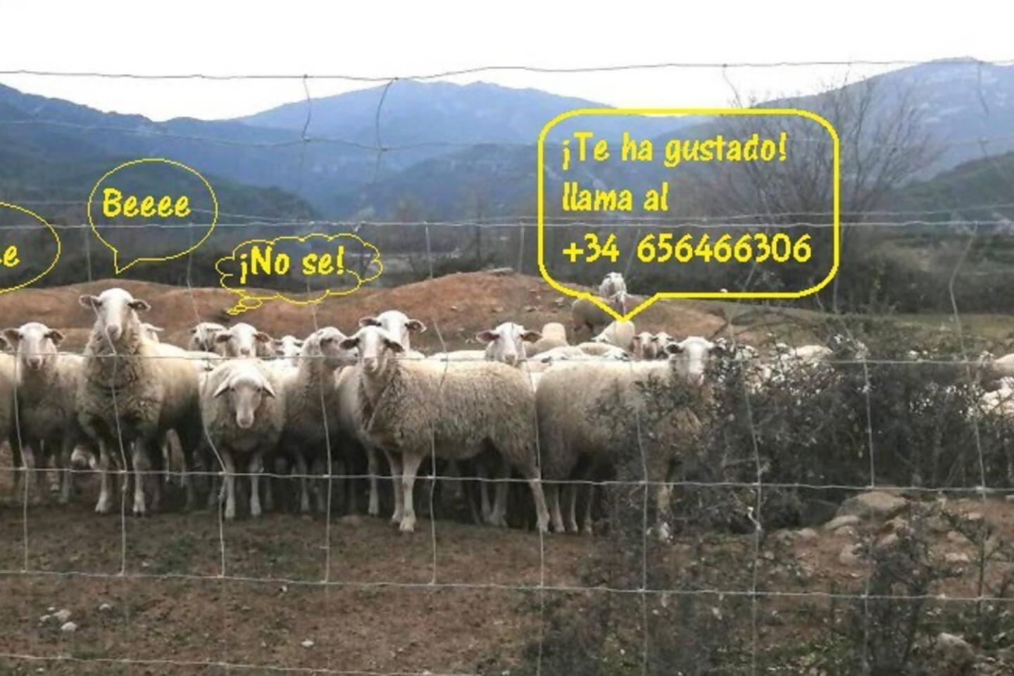 Duplex La Valle Ordesa-Ainsa