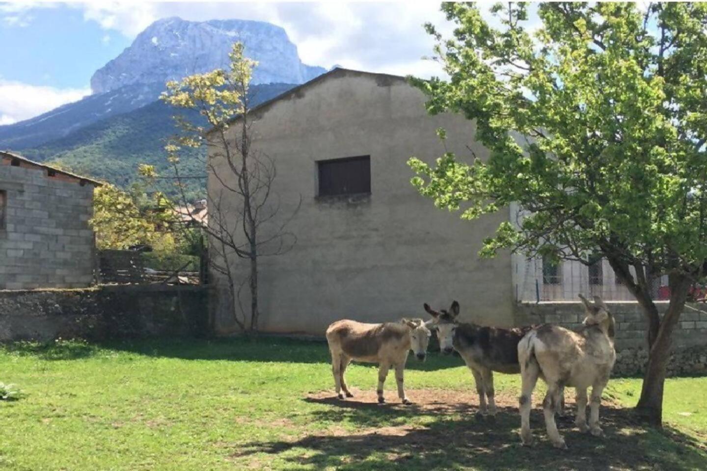 Duplex La Valle Ordesa-Ainsa