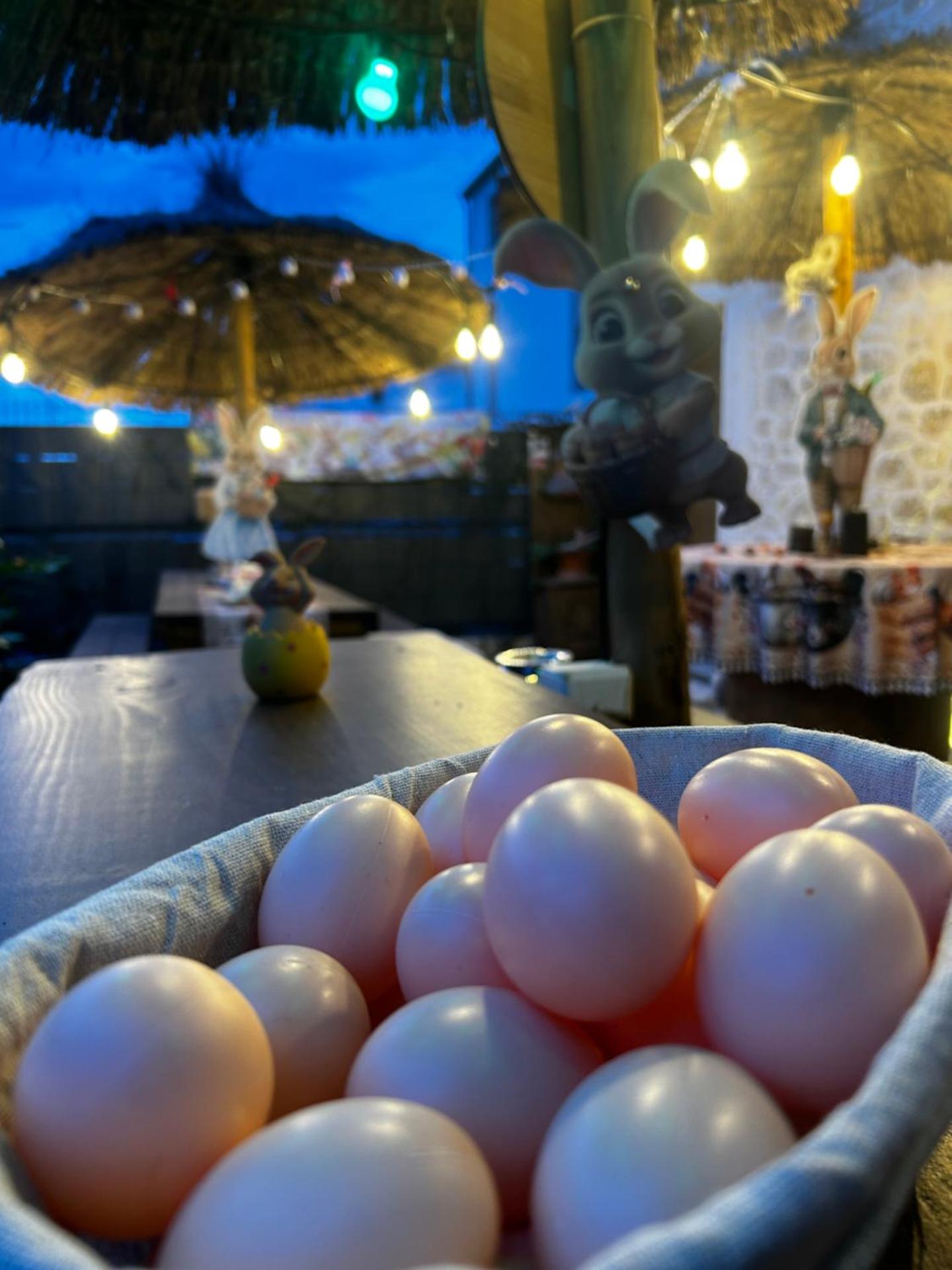Les Chambres de Paulette à Theme LA JUNGLE ROOM