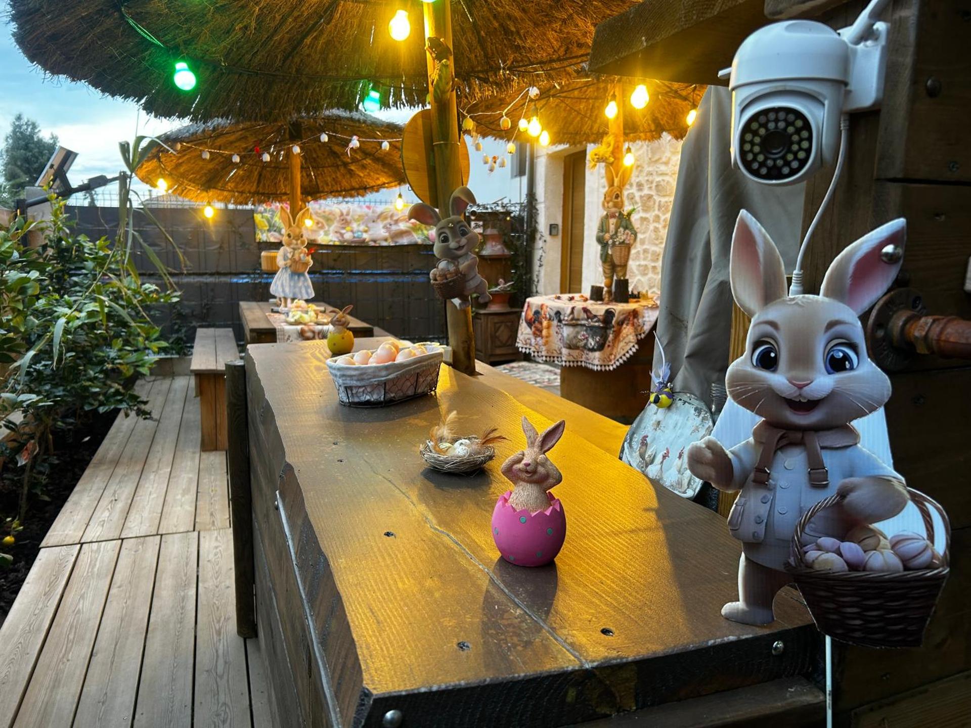 Les Chambres de Paulette à Theme LA JUNGLE ROOM