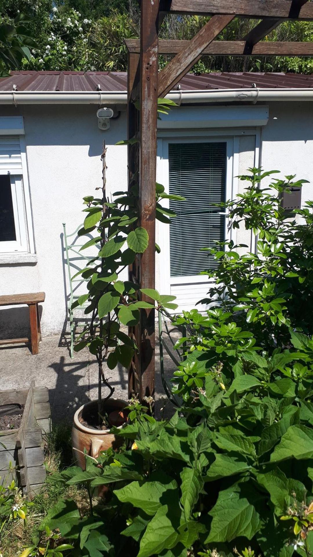 furnished apartment with a garden