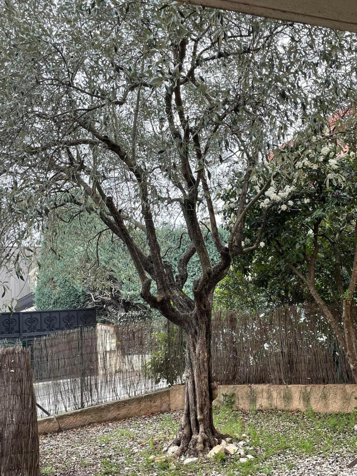 Appartement cosy avec jardin