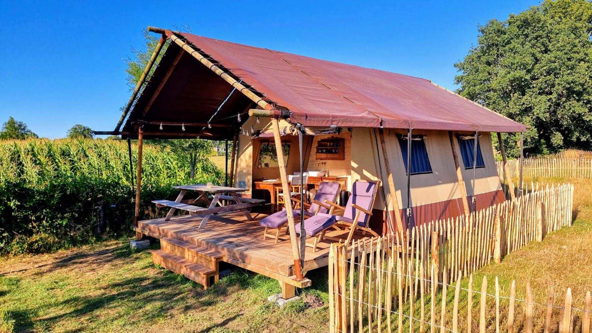 Luxury Safari Tent near Veluwe