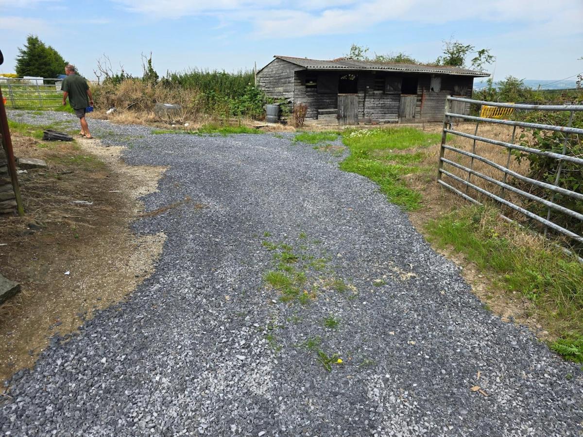 Gower Fresh Christmas Trees