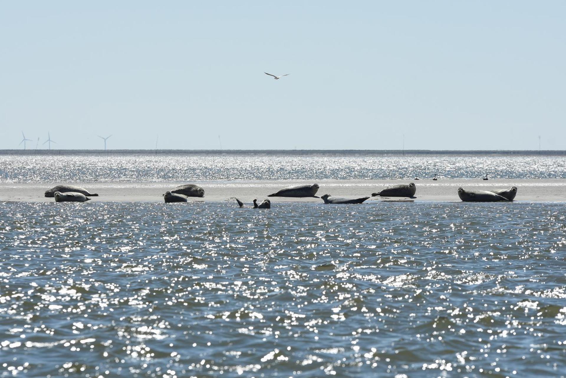 Schleswig-Holstein Whg 05 DG