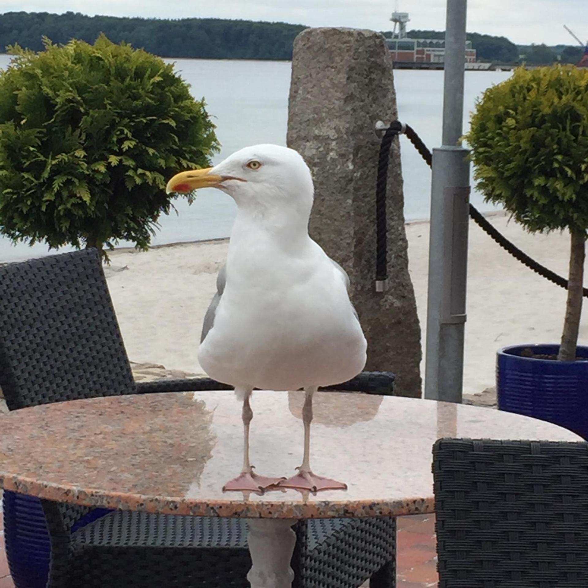 Ferienhaus Sprottenfang