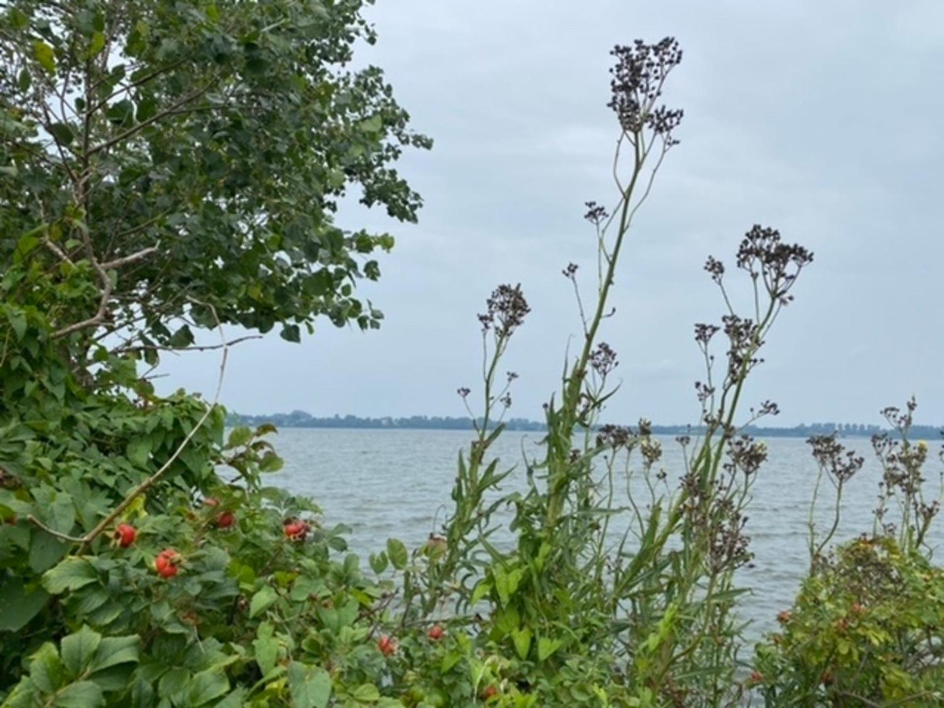 Ferienhaus Sprottenfang