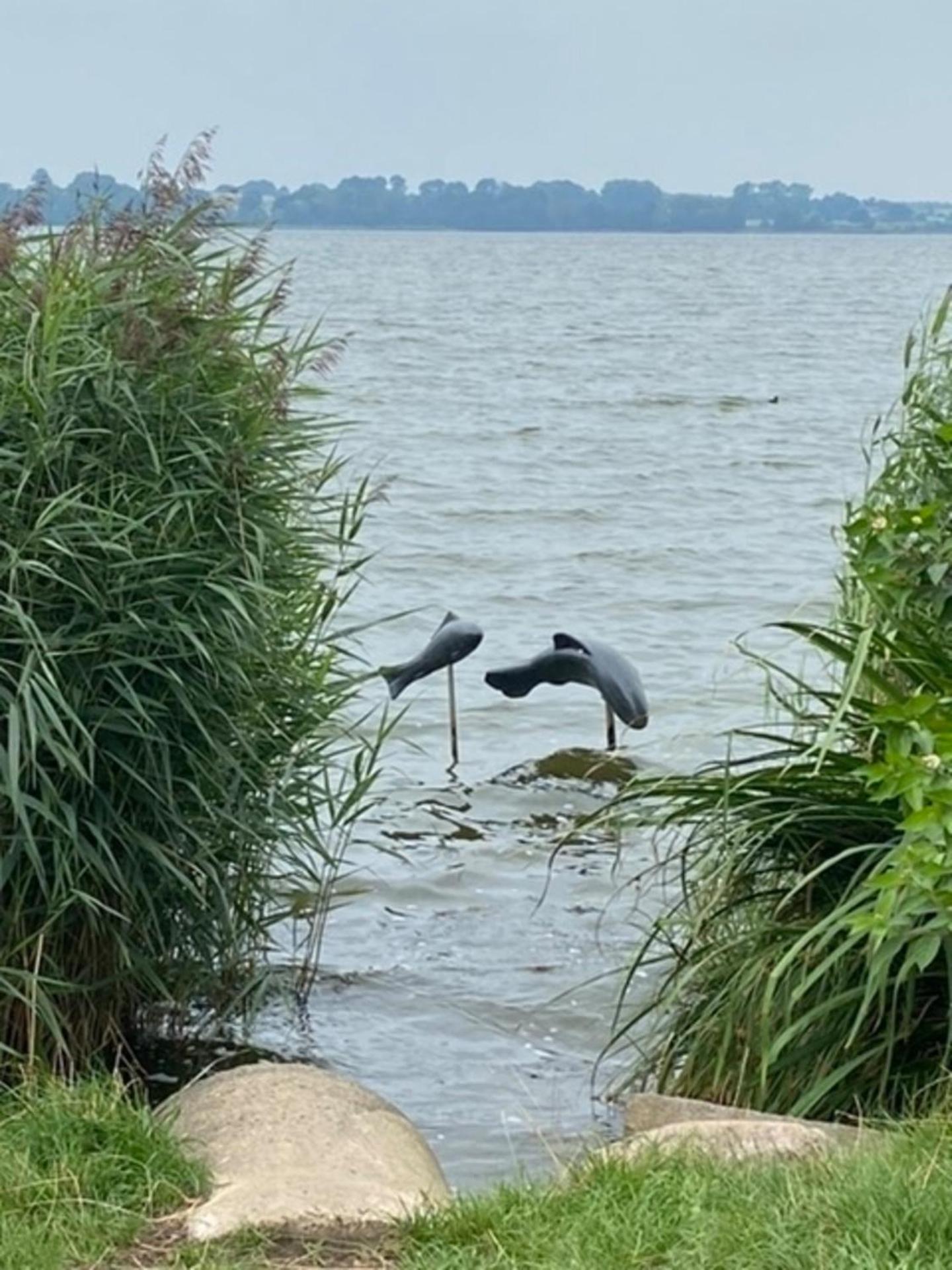 Ferienhaus Sprottenfang