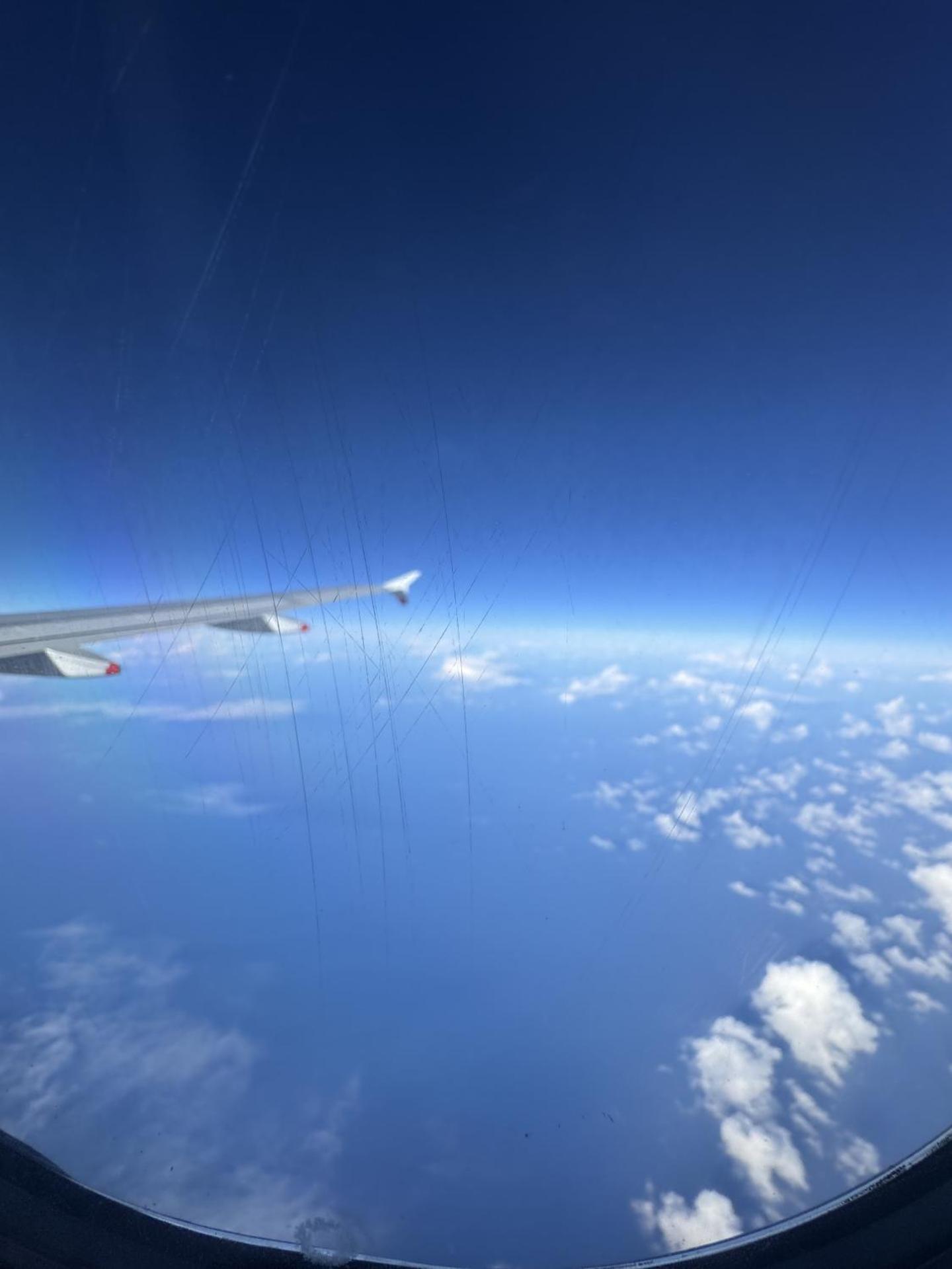 Wild Roses Serviced Apartments - City Airport