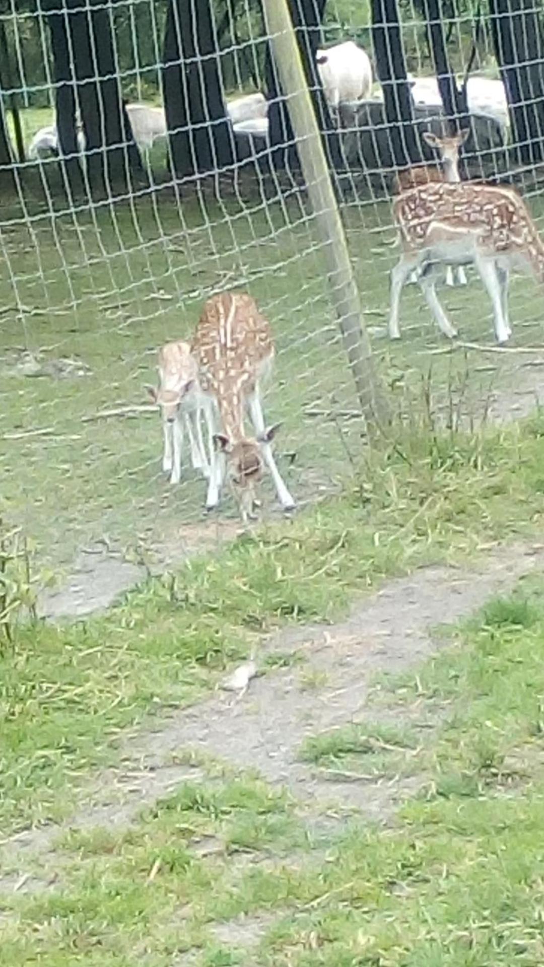 Maison de maître en baie de Somme
