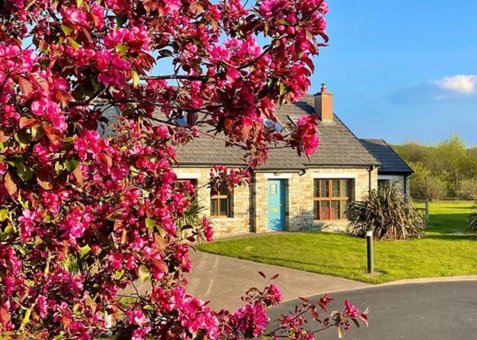 Donegal Boardwalk Resort