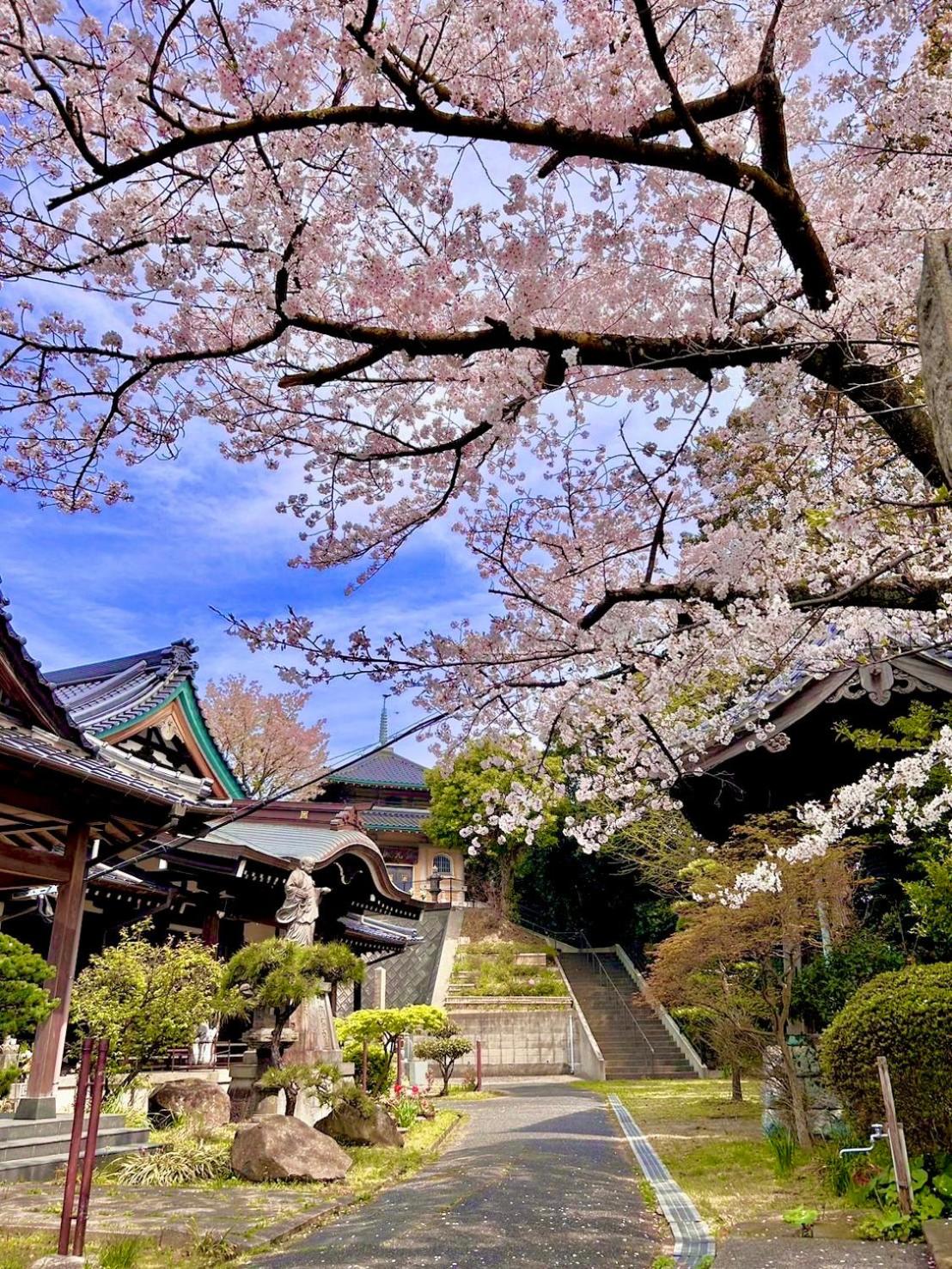 ゲストハウスEn 折尾駅前邸