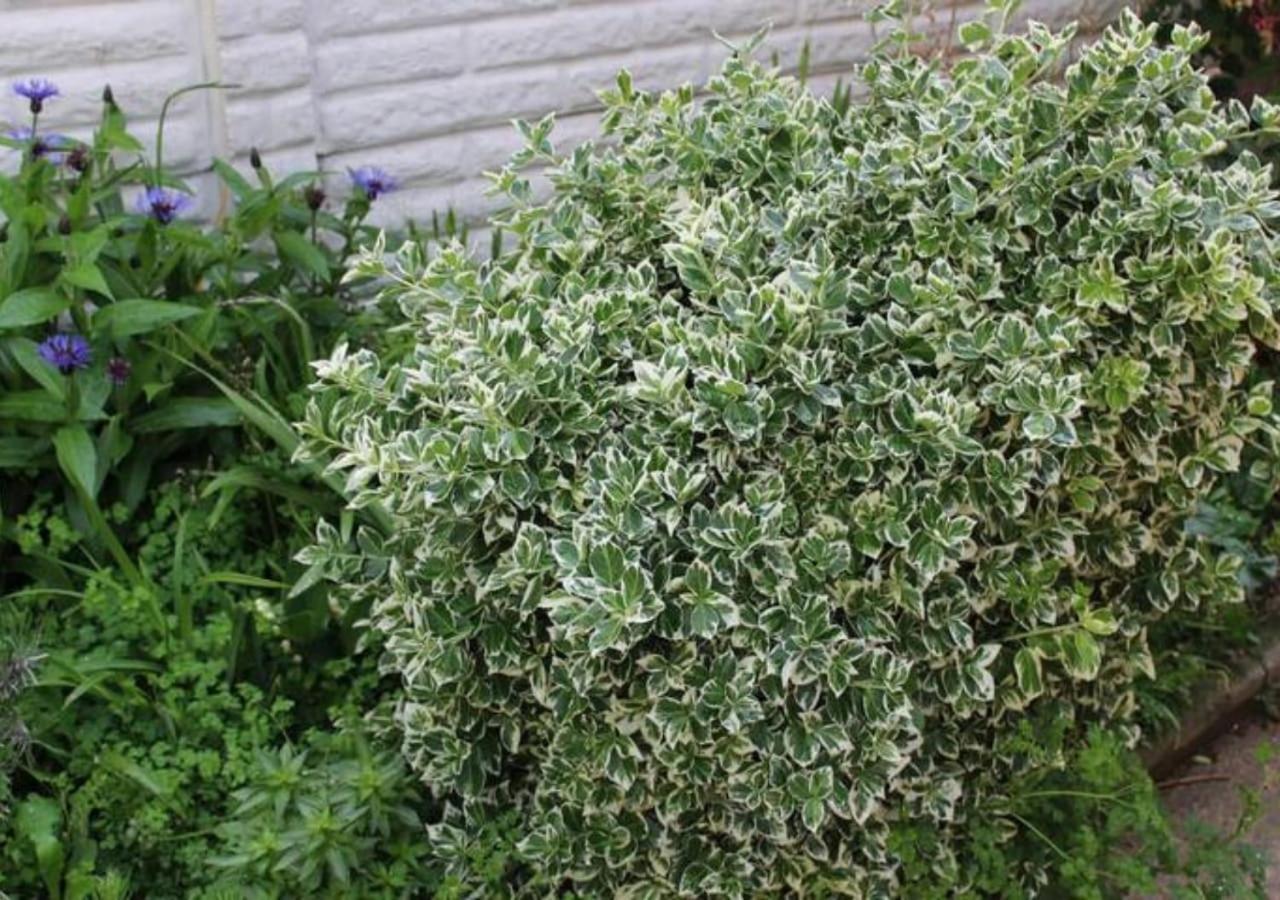 Newly Refurbished 3 Bed 2.5 Bath House in Staines