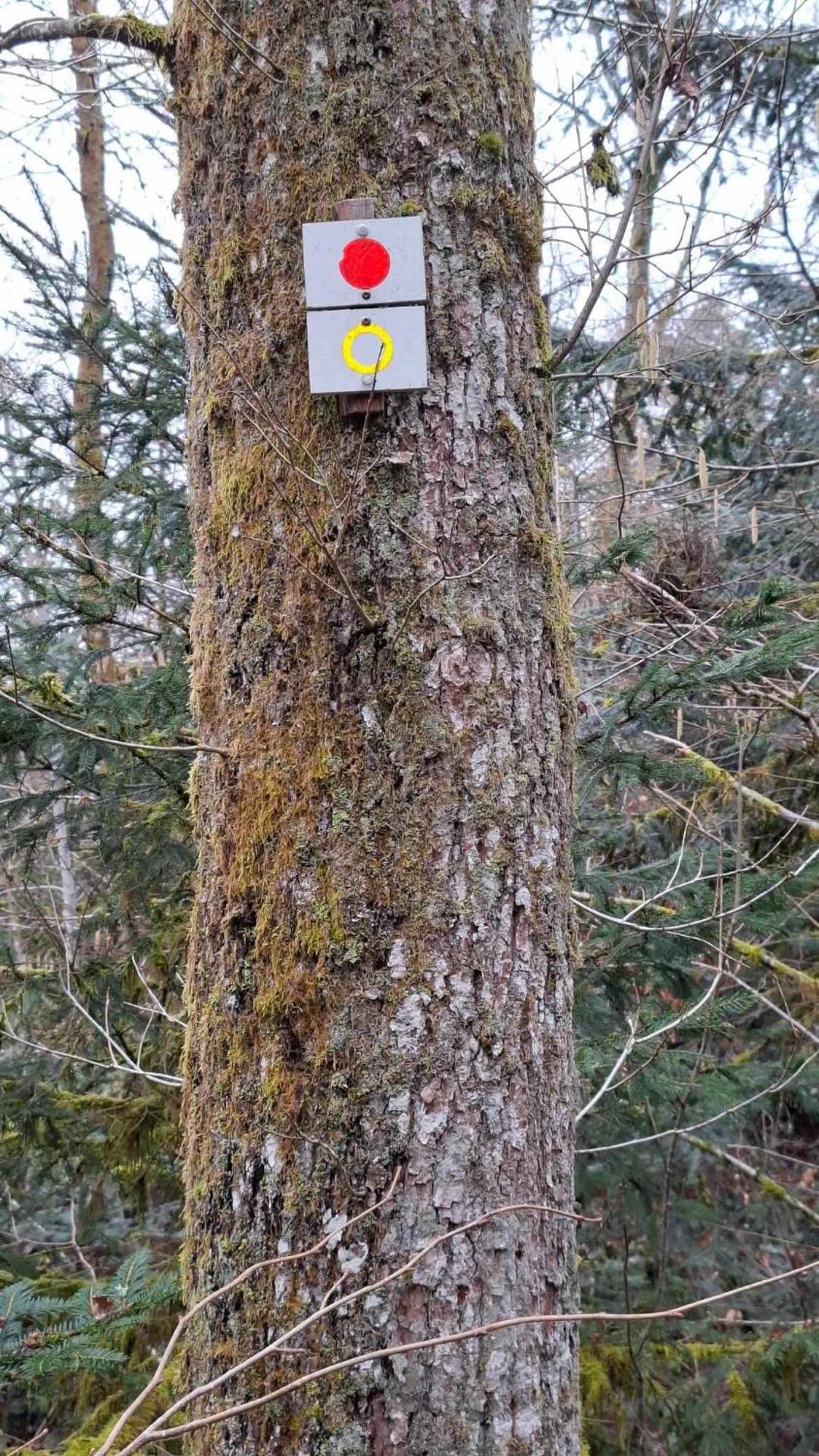 Maison RoMa, se ressourcer proche de Gerardmer et La Bresse
