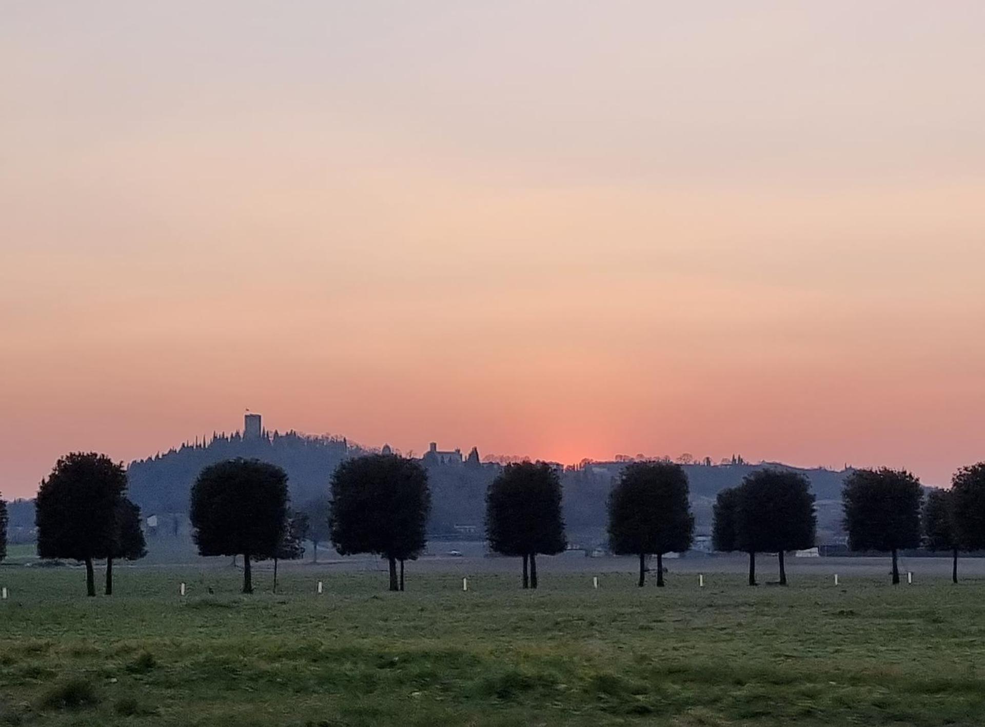 La Vite in Collina Apartment