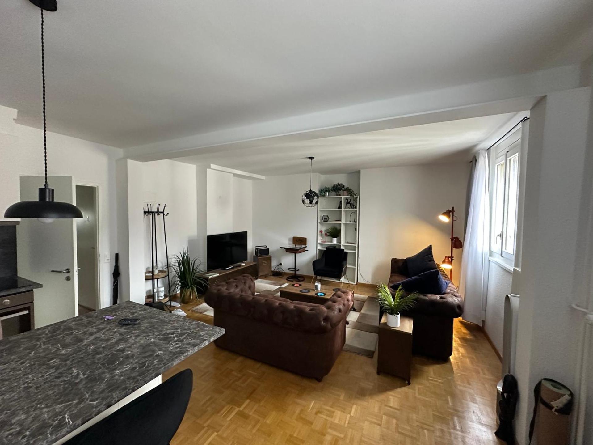Magnificent apartment, Geneva Center, Geneva Lake