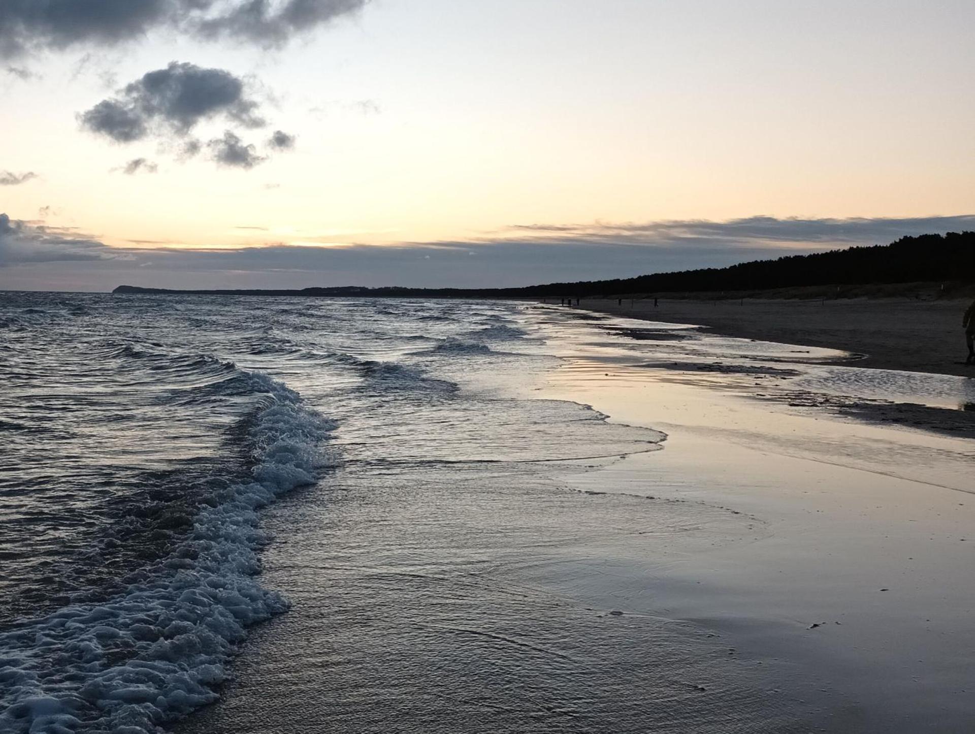 Ferienhaus Dünenwald 2