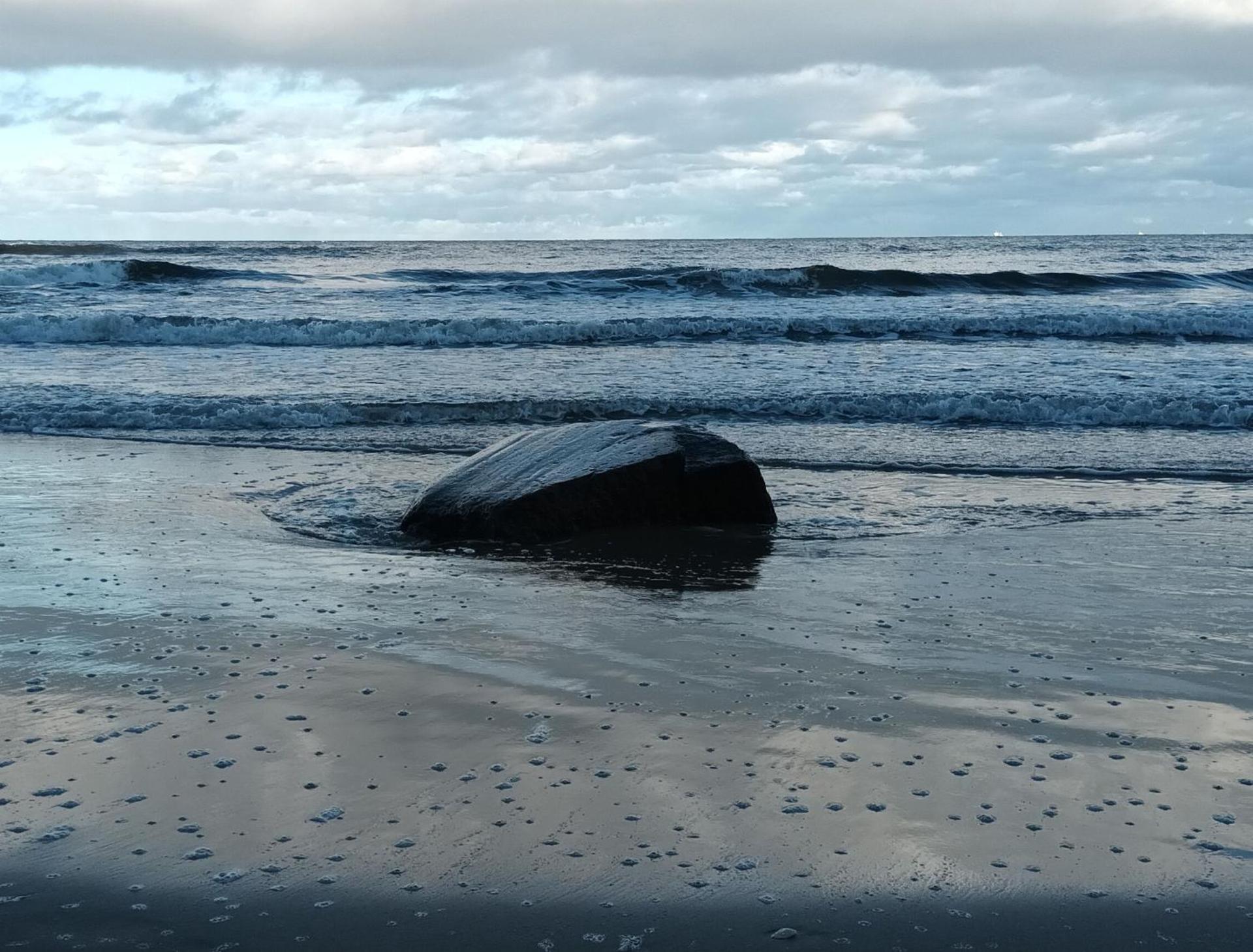 Ferienhaus Dünenwald 2