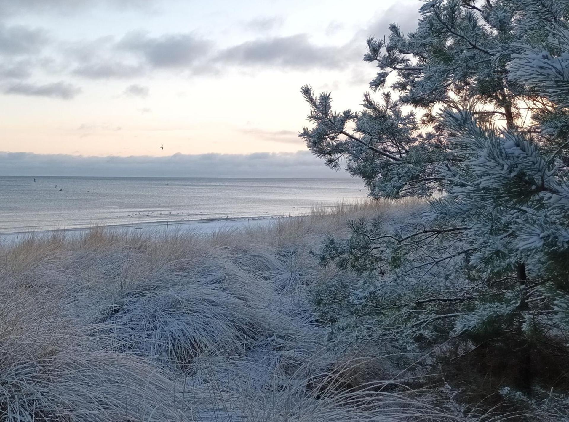 Ferienhaus Dünenwald 2