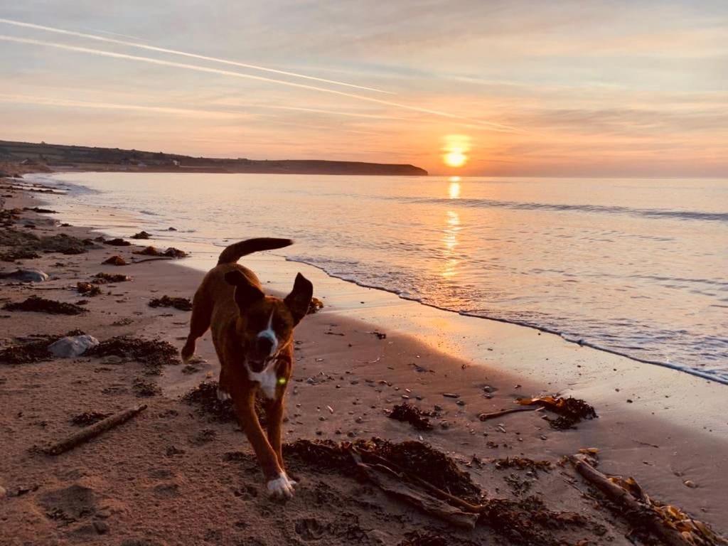 The Cowshed Cottage on The Greenway
