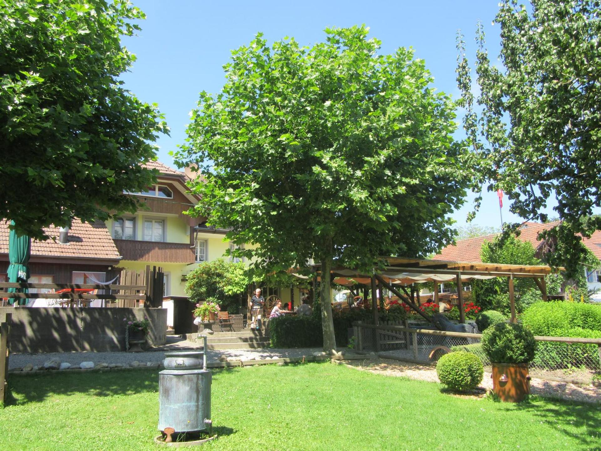 Children play ground