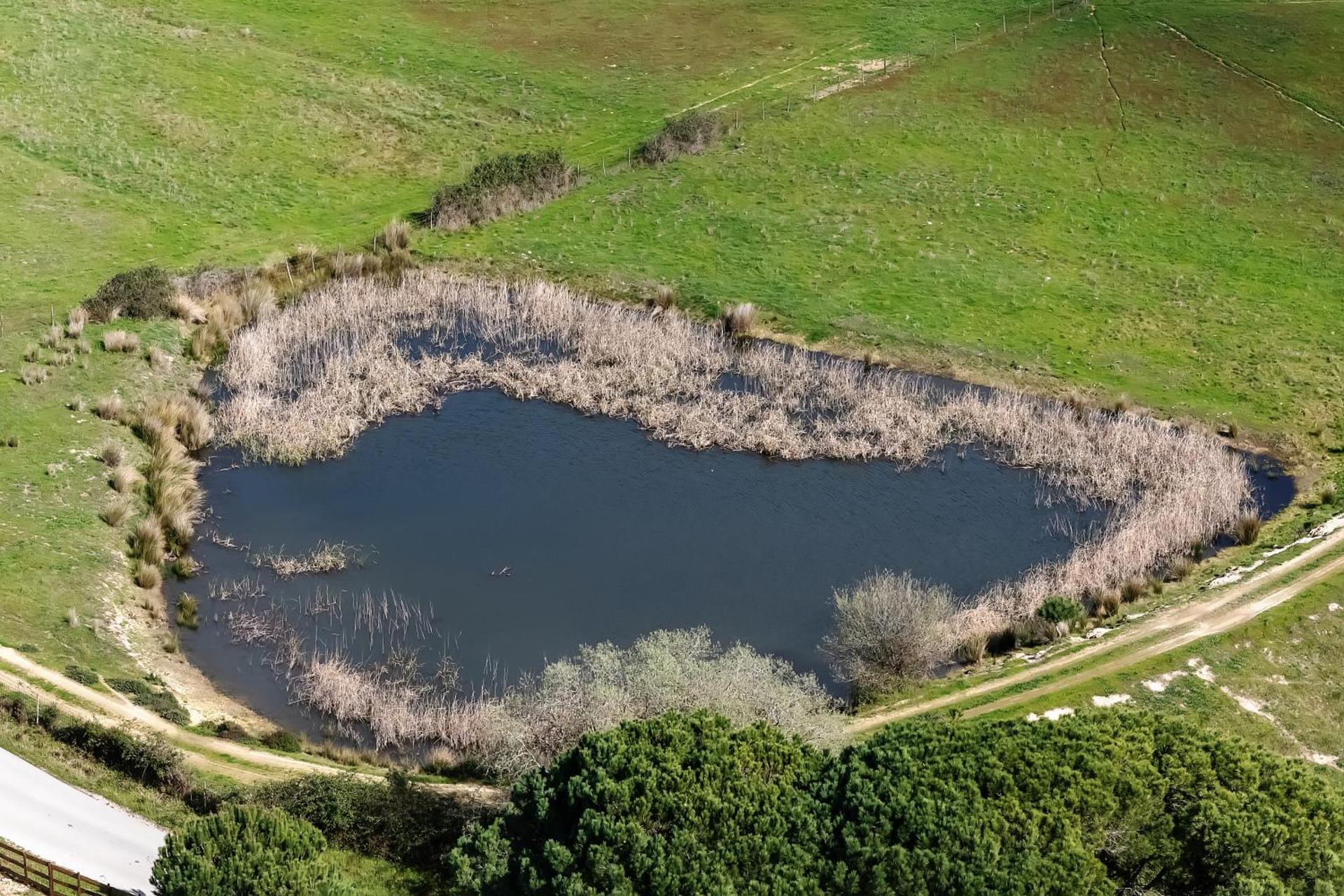 Herdade das Fontainhas