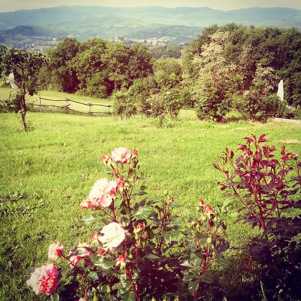 La Collina Tuscan stone cottage