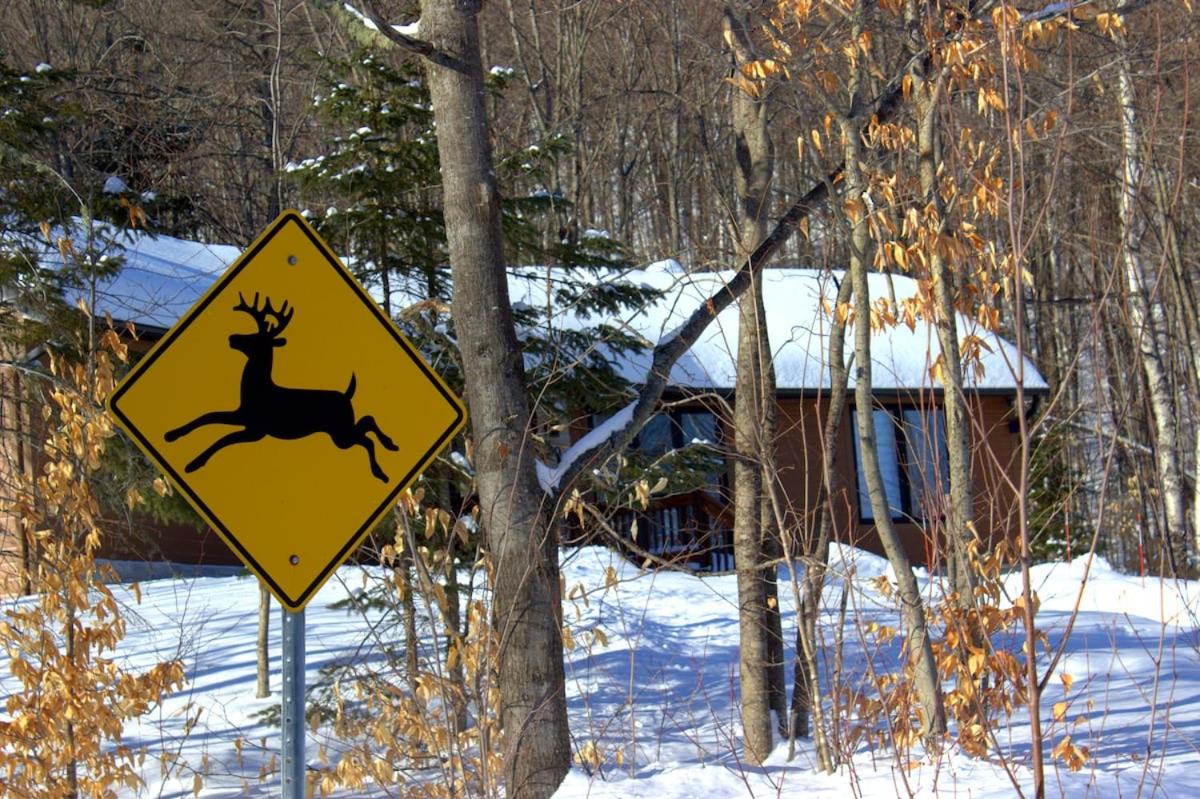 Le Chalet Beatrice & Spa