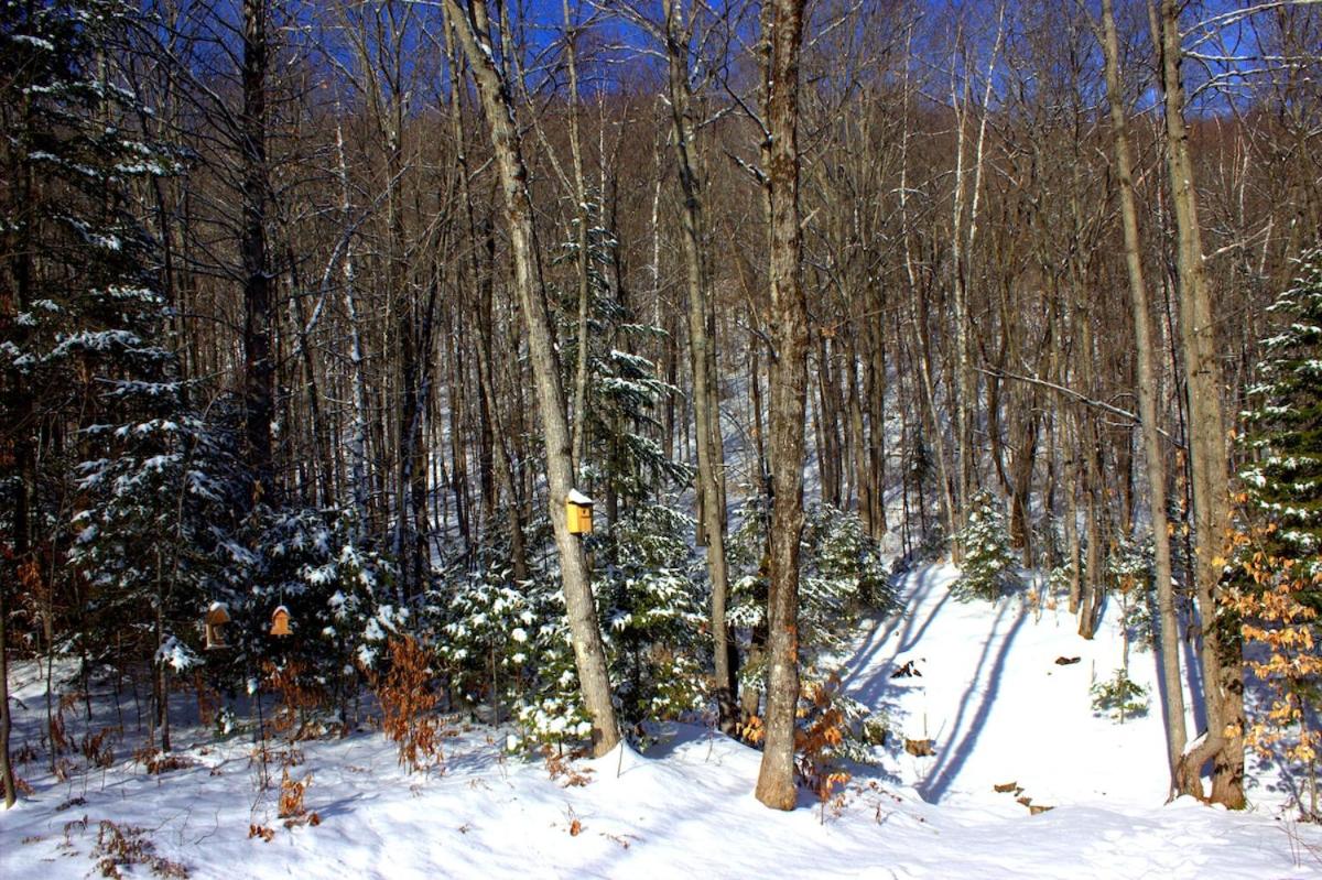 Le Chalet Beatrice & Spa