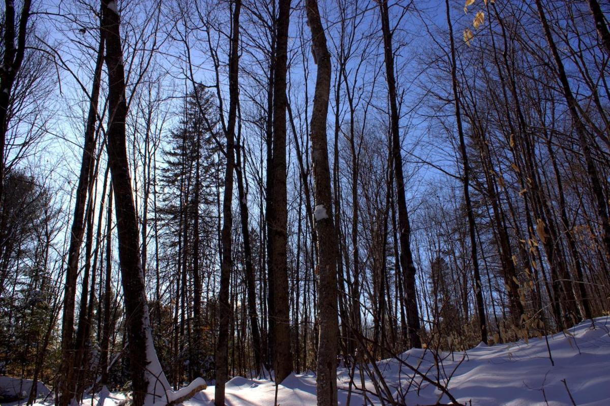 Le Chalet Beatrice & Spa