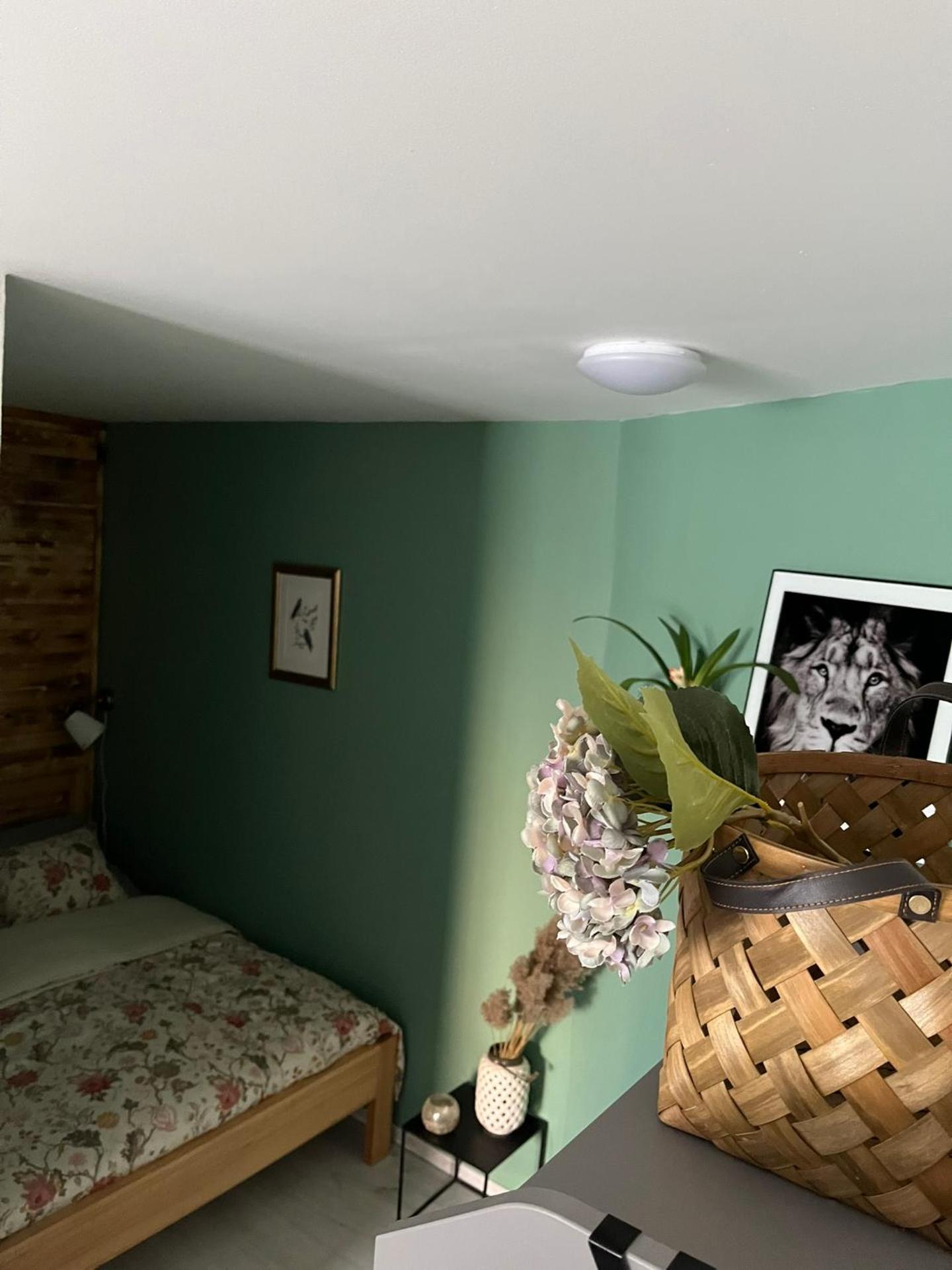 Apartmán Na Dukelské s garáží