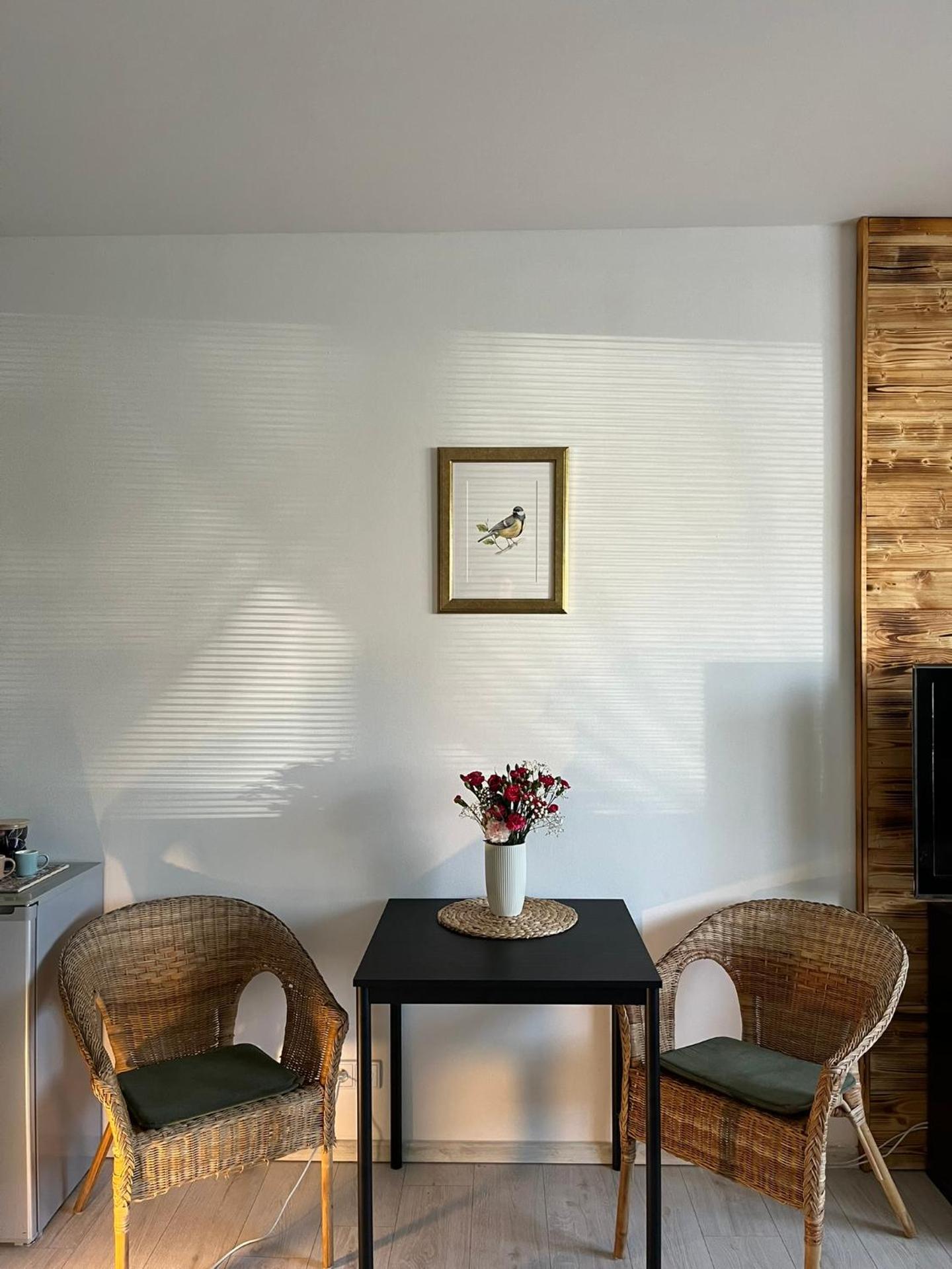 Apartmán Na Dukelské s garáží