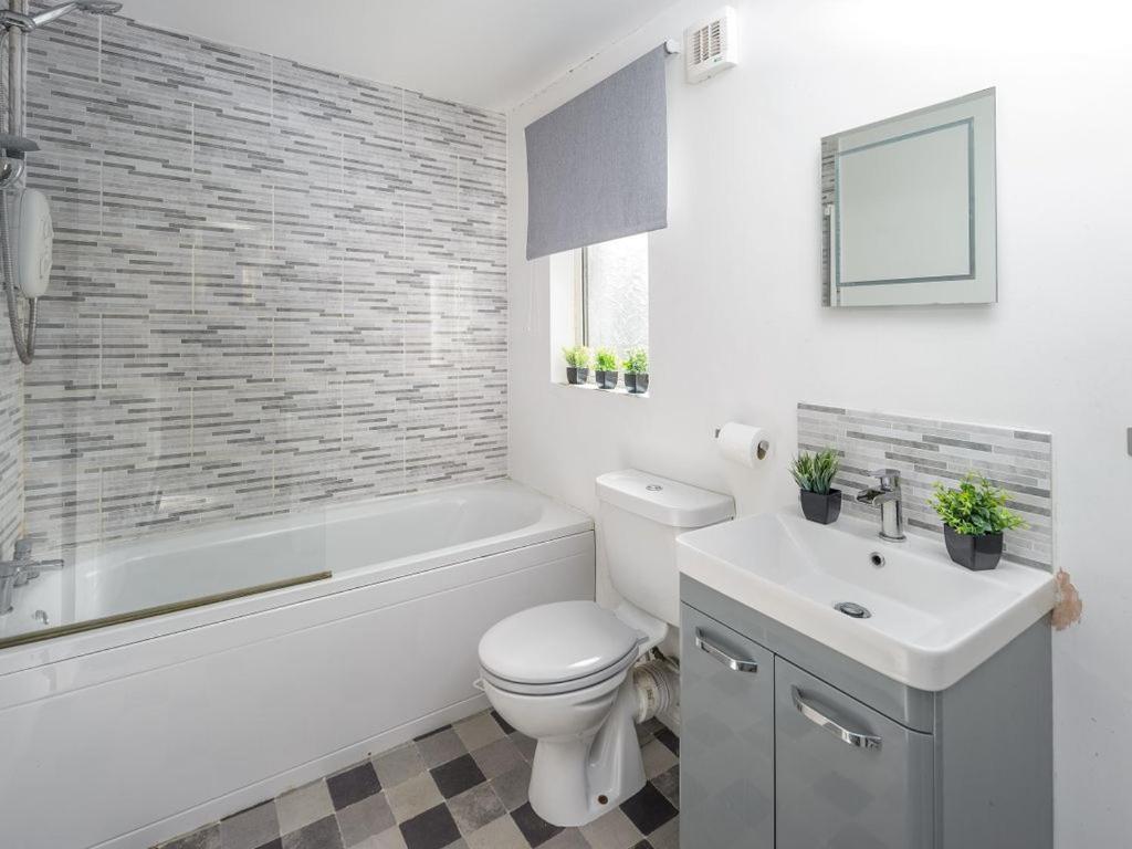 Sea Thrift Nook Amble