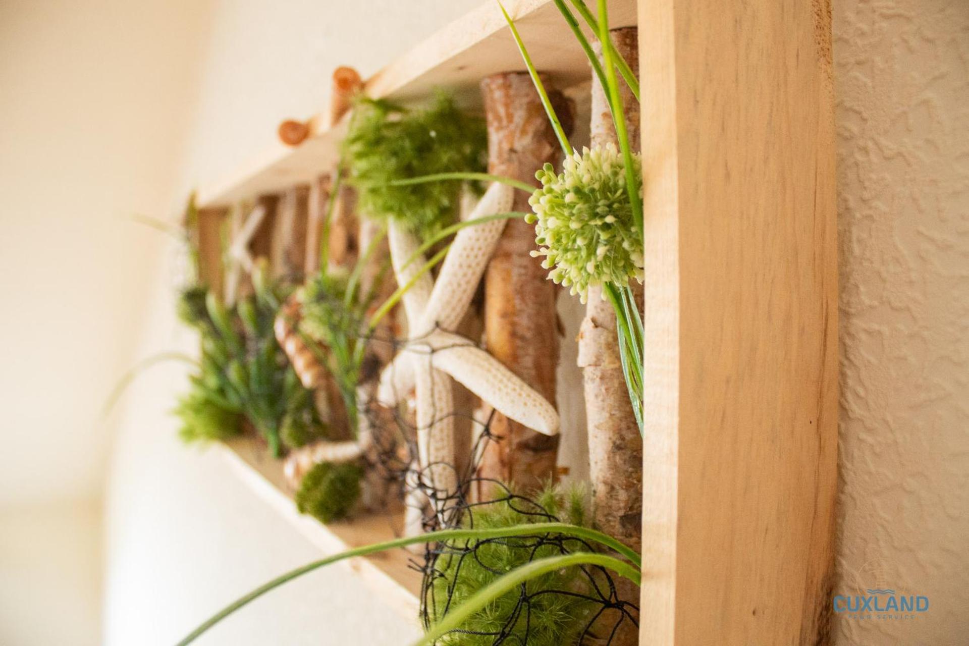 Ferienwohnung Seestern