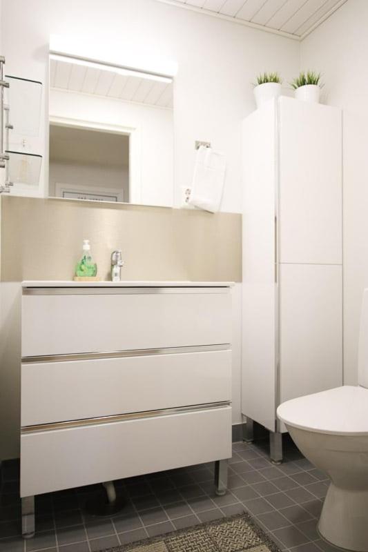 Uniikki kolmio Aurajokinäkymin