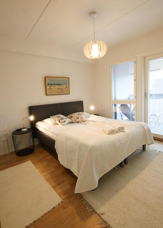 Uniikki kolmio Aurajokinäkymin