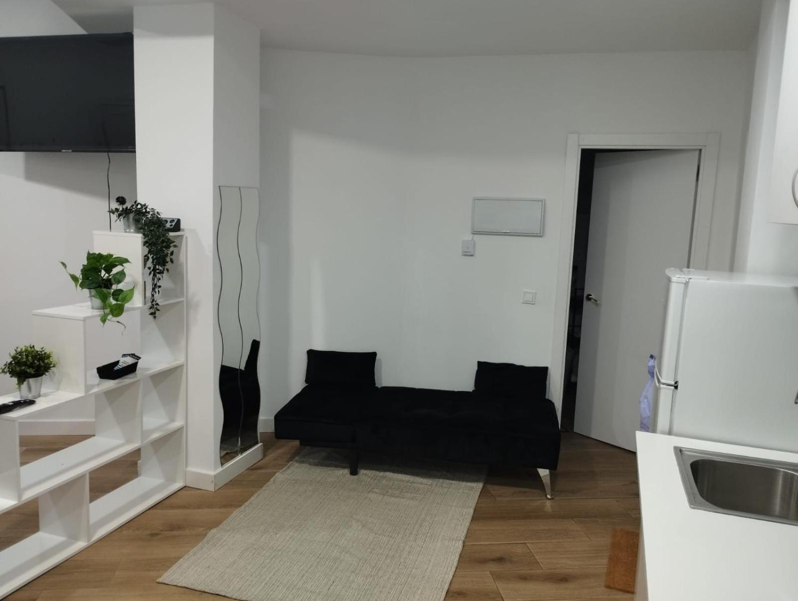 Apartamento tipo Loft HM Vista Alegre Madrid